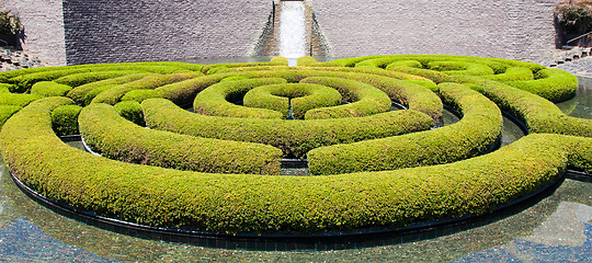 Image showing Garden Maze