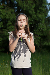 Image showing Blowing into dandelion