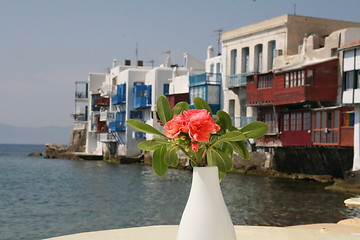 Image showing flower in myconos