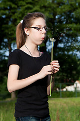 Image showing Blowing into dandelion