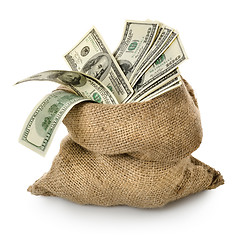 Image showing Money in the old bag