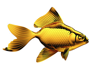 Image showing Goldfish with fins and scales isolated