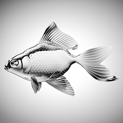 Image showing Silver fish with fins and scales on gradient gray