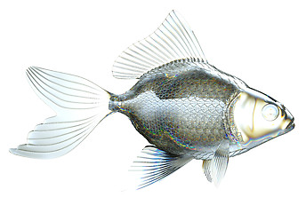 Image showing Side view of glass fish isolated 