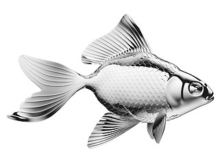 Image showing Silver fish with fins and scales isolated