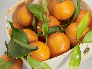 Image showing crate with orange fruits