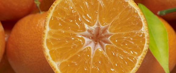 Image showing orange fruits