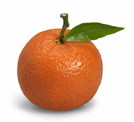 Image showing orange fruit with leaf