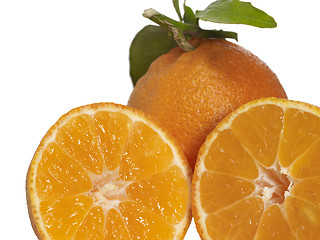 Image showing orange fruits