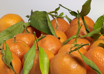 Image showing orange fruits