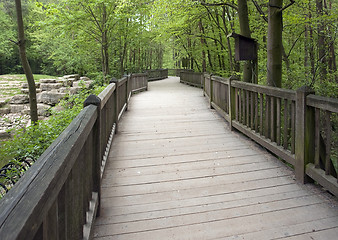 Image showing forest scenery with wooden bridge