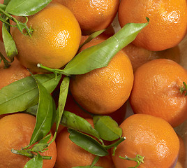 Image showing orange fruits