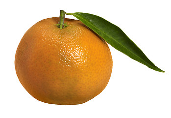 Image showing orange fruit with leaf