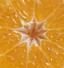 Image showing orange fruit detail