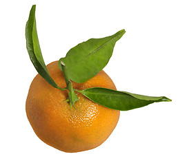 Image showing orange fruit with leaves