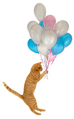 Image showing Flying balloon cat