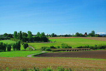Image showing Idyllic Farm Landscape