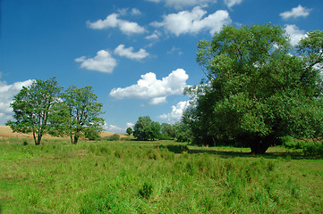 Image showing Idyllic landscape