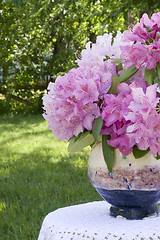 Image showing Flowers and vase