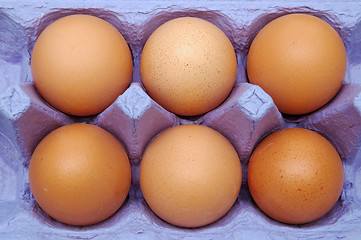 Image showing Eggs in a blue carton container