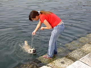 Image showing cleaning dog