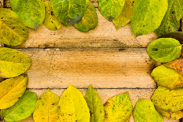 Image showing texture autumn Period of yellow leaves and wood