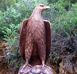 Image showing Wooden Hawk