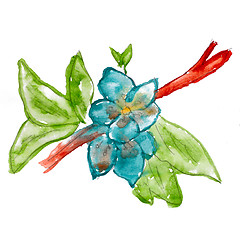 Image showing abstract twig leaf blue floral watercolor flower paintings hand 