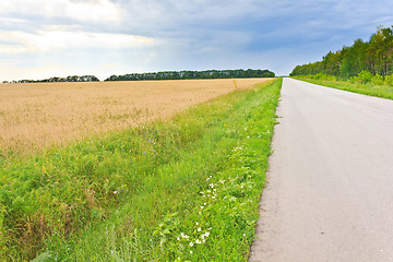 Image showing Russian landscape road next to the wheat field