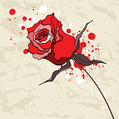 Image showing Grunge red rose on Crumpled paper background.
