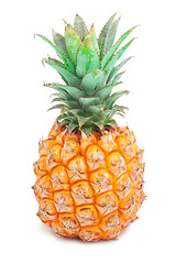 Image showing Pineapple