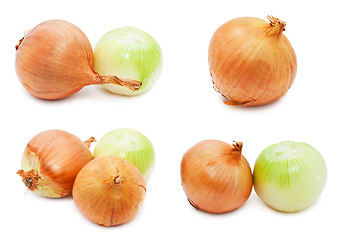 Image showing Onion