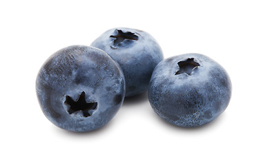 Image showing Blueberry