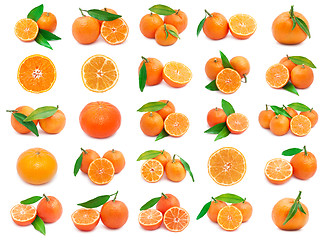 Image showing Mandarins