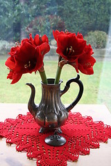 Image showing Amaryllis in antique pewter jug