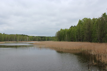 Image showing Picturesque lake in the forest