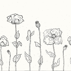 Image showing Floral background. Hand drawn Poppies