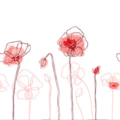 Image showing Red poppies on a white background