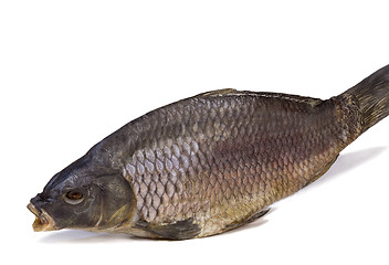 Image showing Salted and dried river fish on a white background.