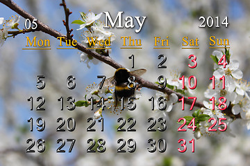 Image showing calendar for May of 2014 with blossoming cherry