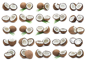 Image showing Coconuts