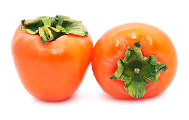 Image showing Persimmon