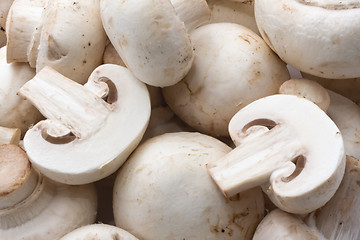 Image showing Champignon mushrooms