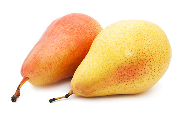 Image showing Pear