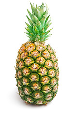 Image showing Pineapple