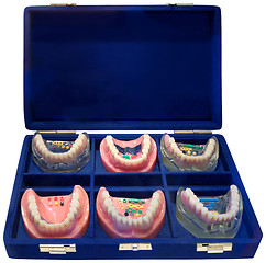 Image showing Dentures ToGo