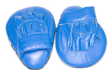 Image showing Boxing Focus Mitts