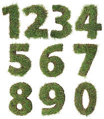 Image showing Grass Numbers Cutout