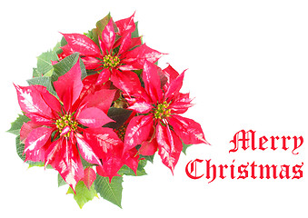 Image showing Merry Christmas greeting card