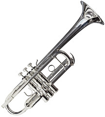 Image showing Trumpet cutout